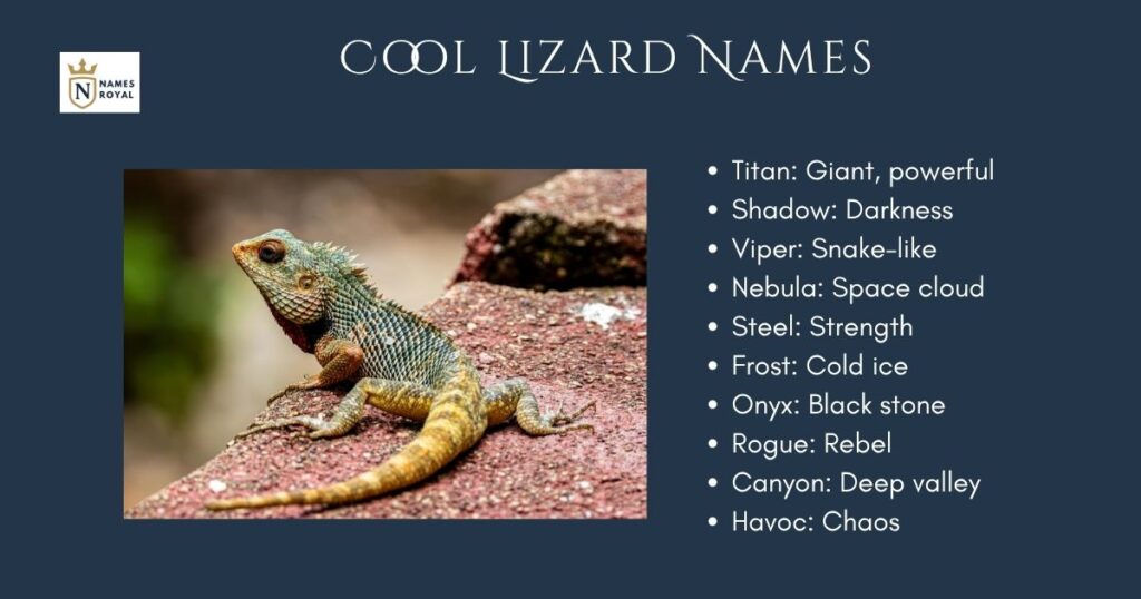 Cool Lizard Names