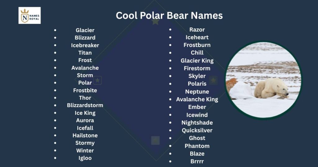 names for polar bears