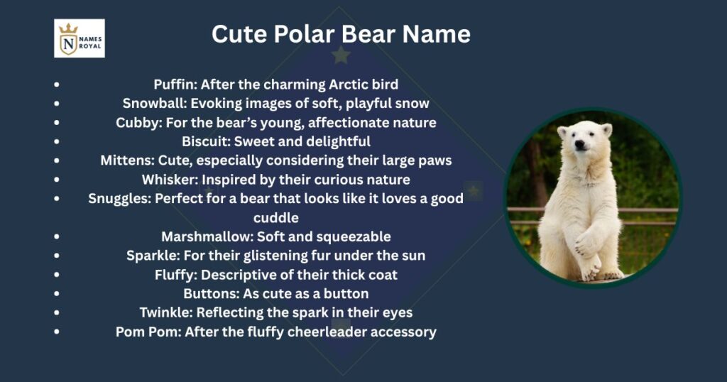 cute polar bear names