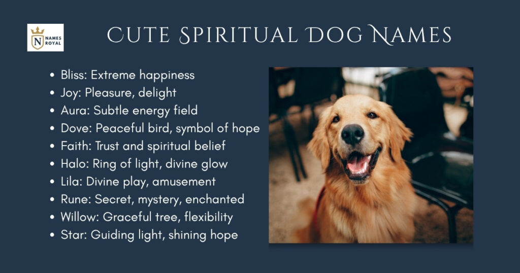 Cute Spiritual Dog Names