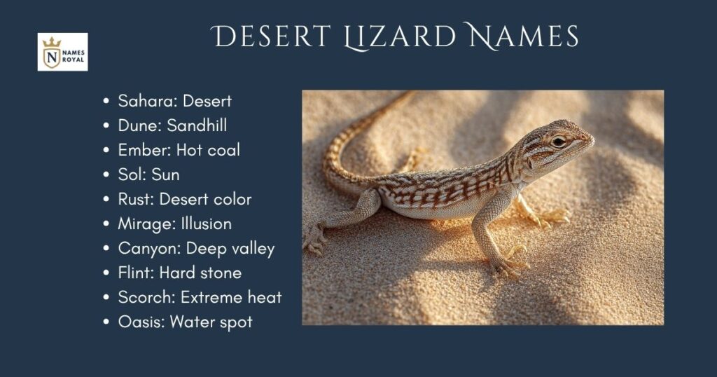 Desert Lizard Names