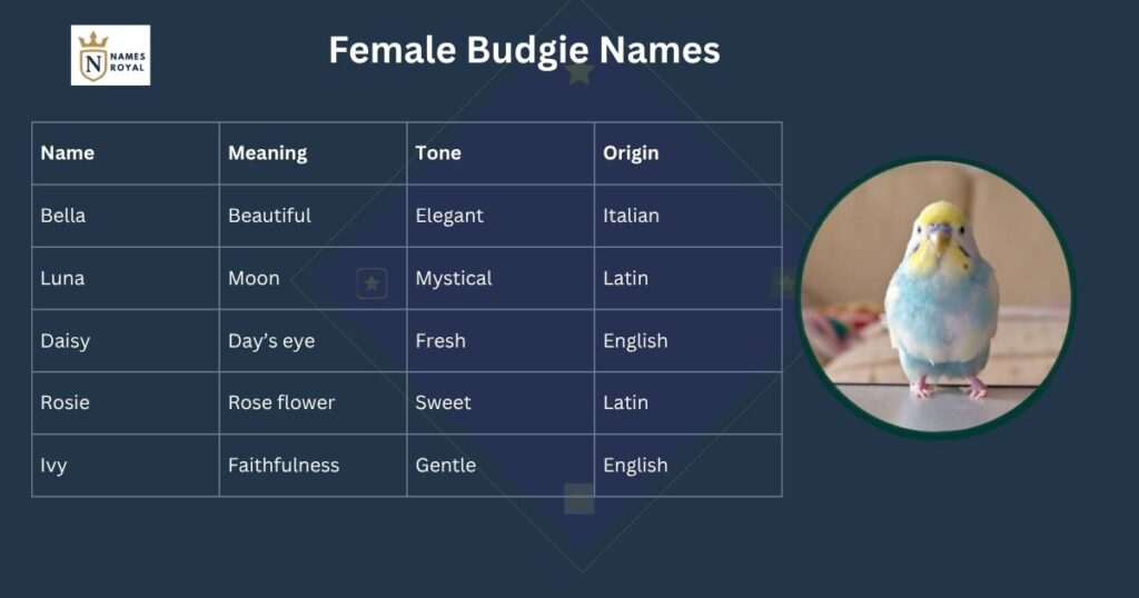 good names for budgies