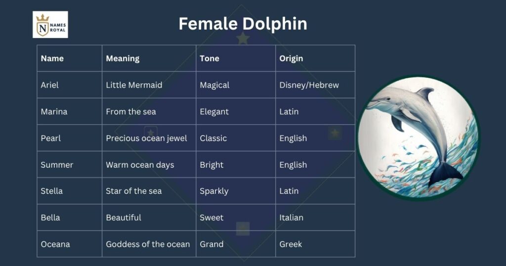 Female Dolphin