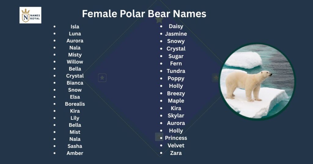 cute polar bear names