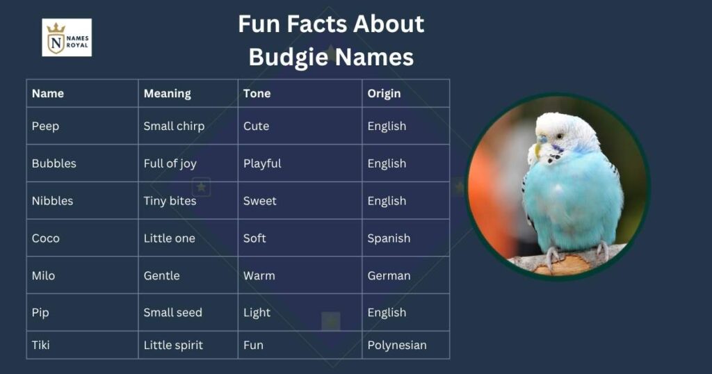 names for budgies