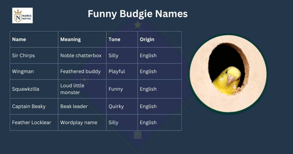 funny budgie names