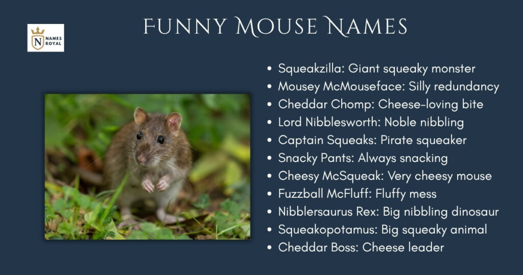 Funny Mouse Names