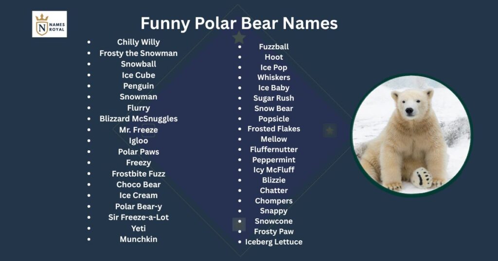 names for polar bears