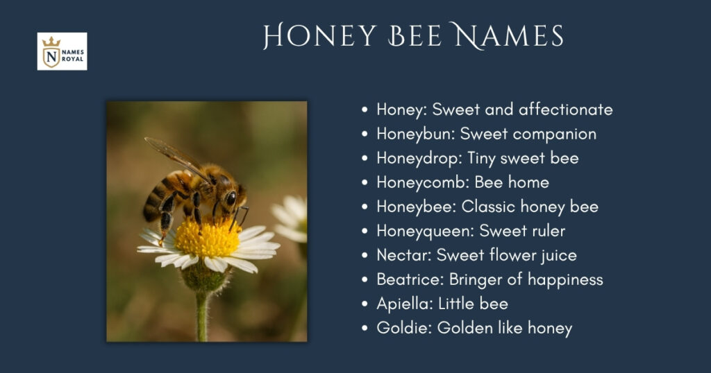 Honey Bee Names