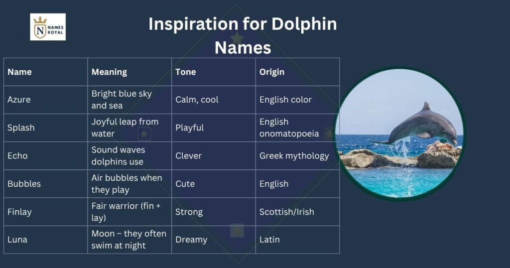 Dolphin Names