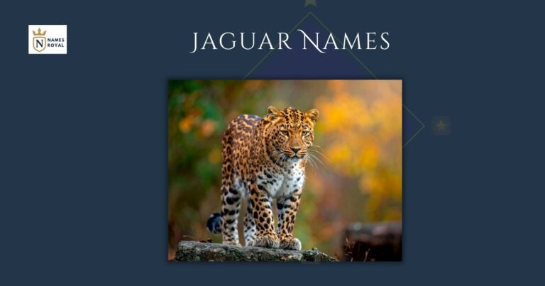 Jaguar Names