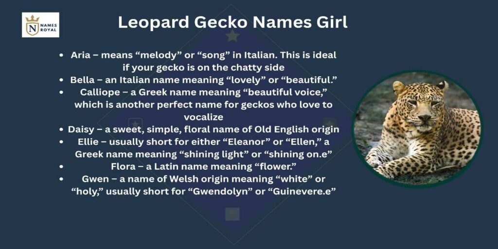leopard names