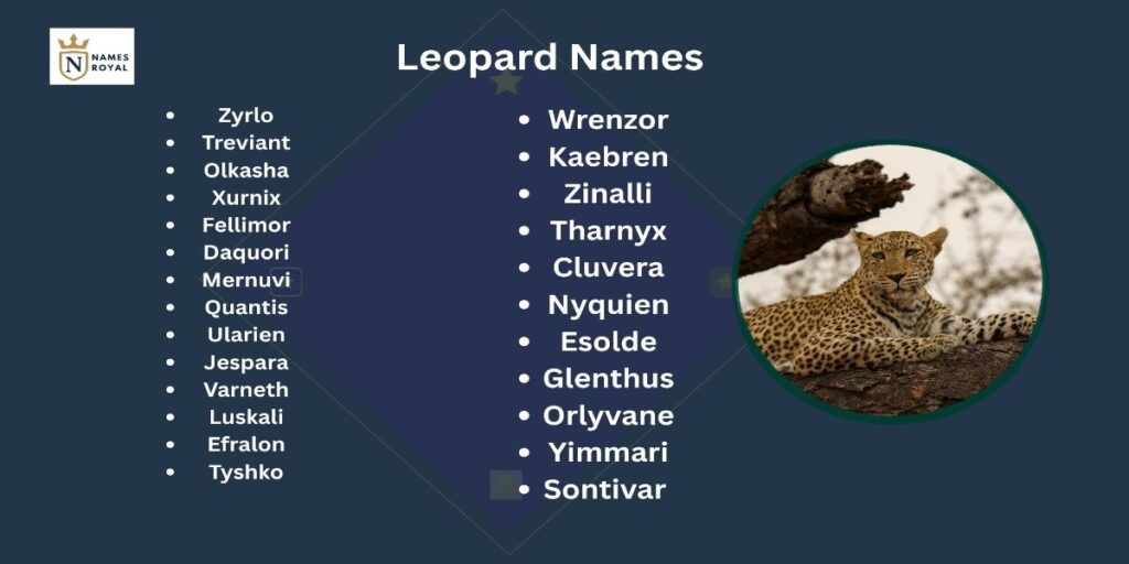 leopard names