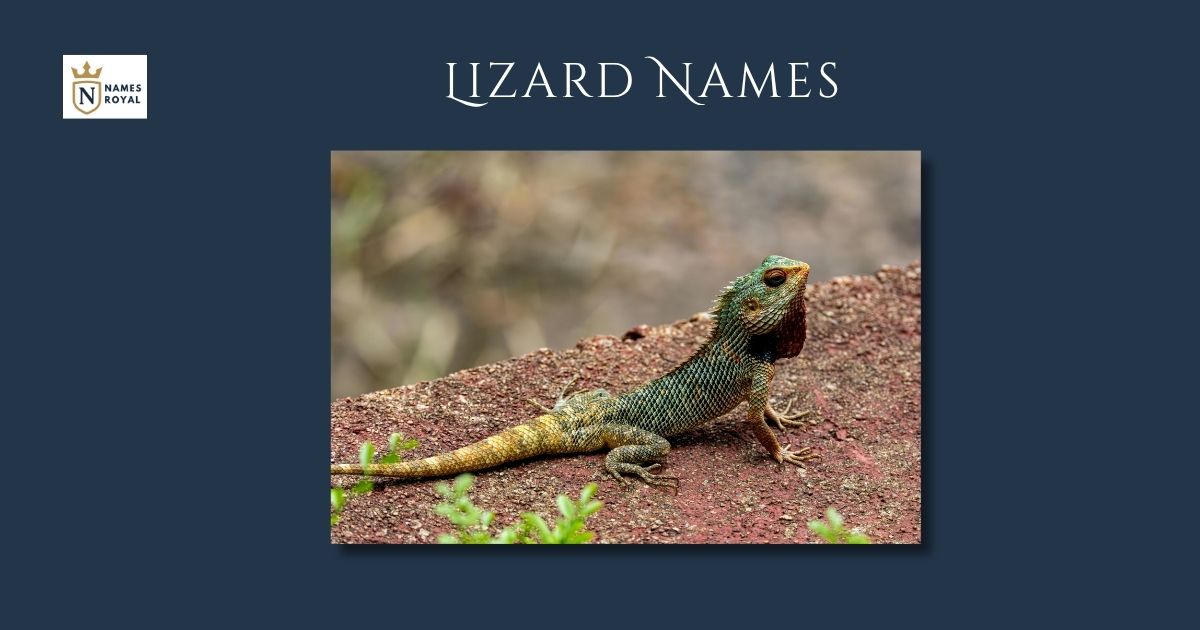 Lizard Names