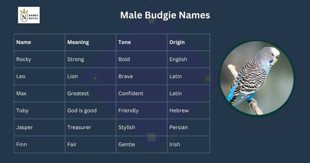 male budgie names