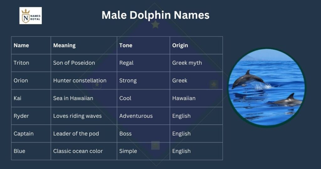Male Dolphin Names