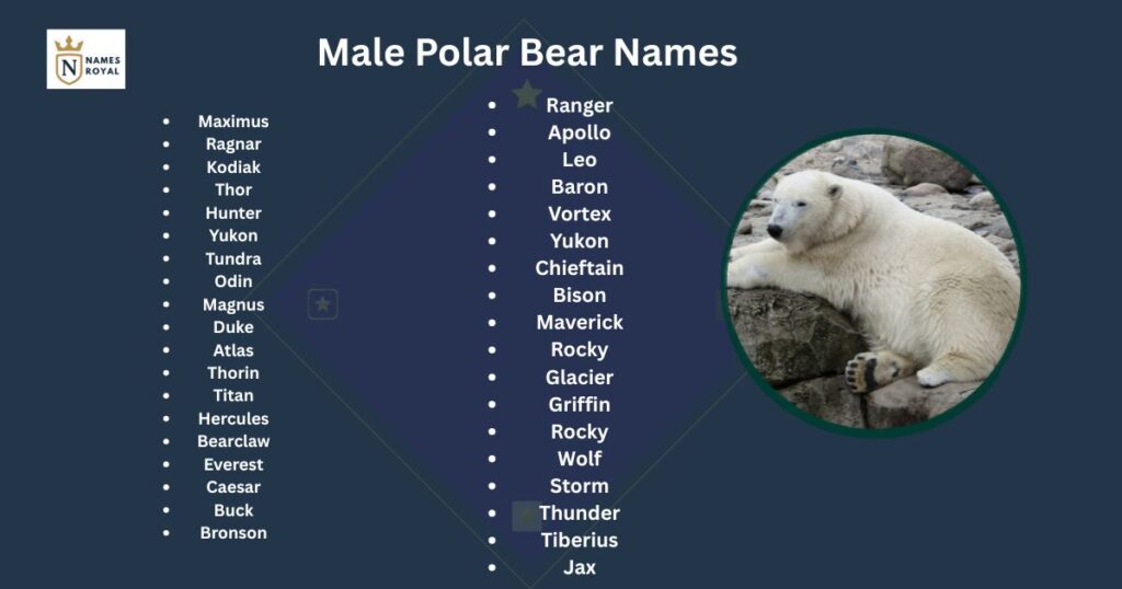good polar bear names