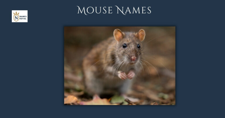 Mouse Names