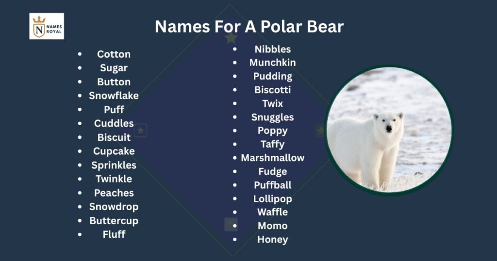 polar bear names