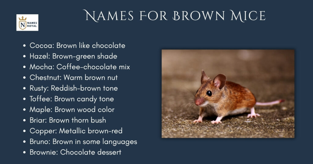 Names For Brown Mice