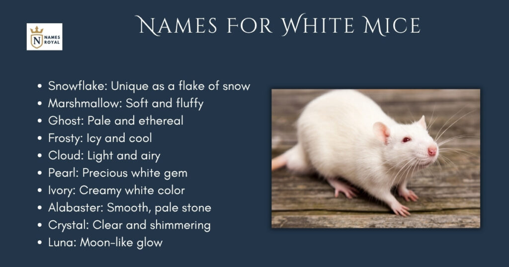 Names For White Mice