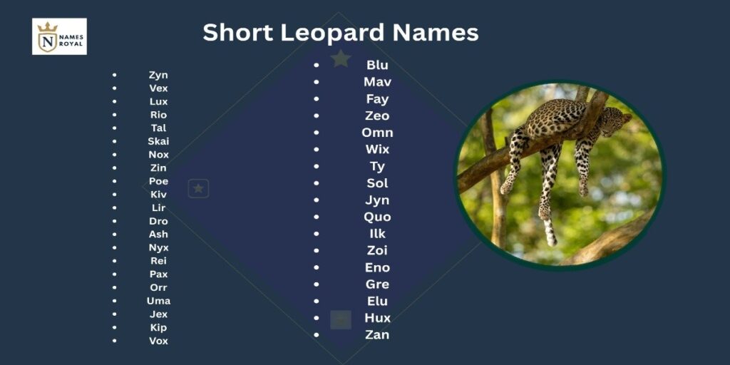 leopard names girl