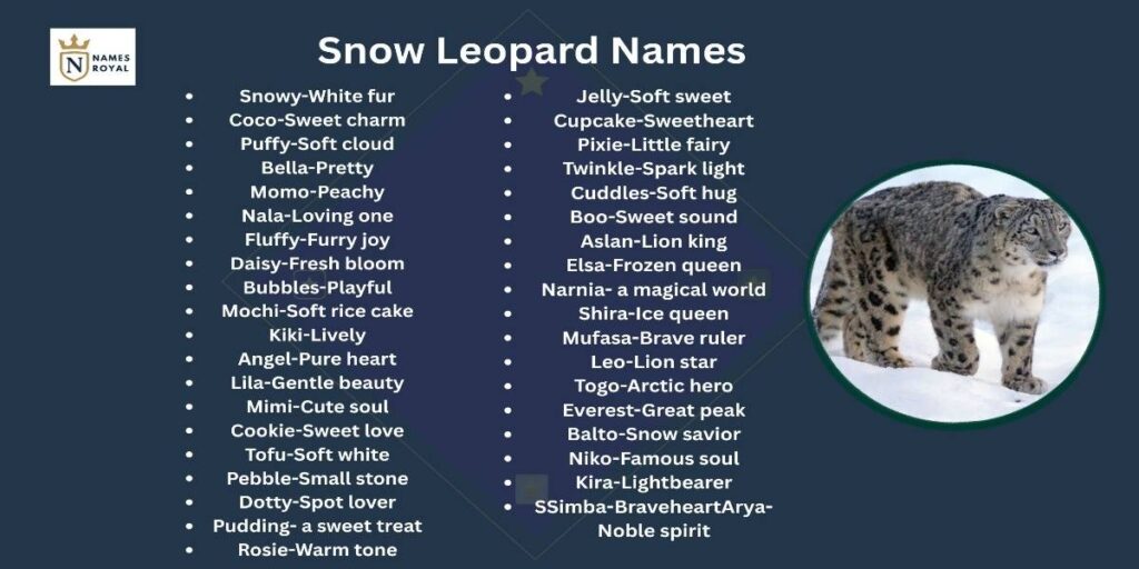 snow leopard names