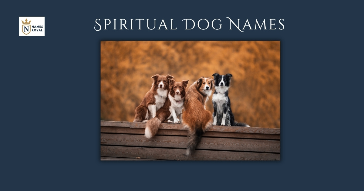 Spiritual Dog Names