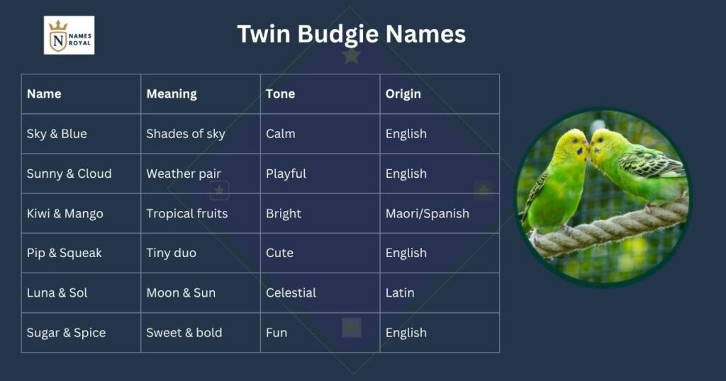 names for budgies boy