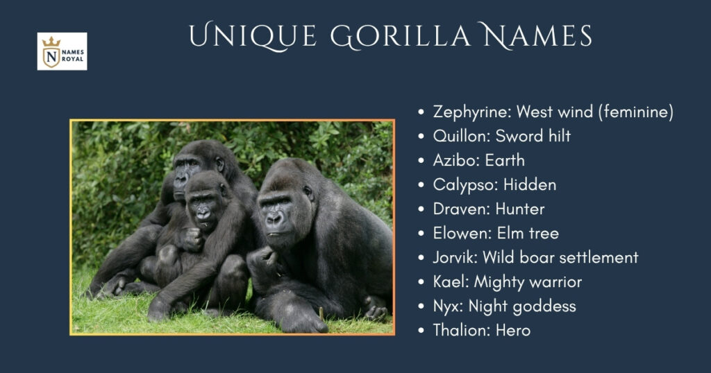 Unique Gorilla Names