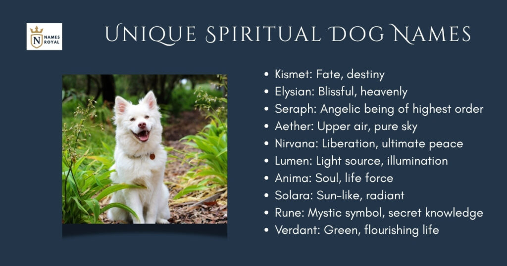 Unique Spiritual Dog Names