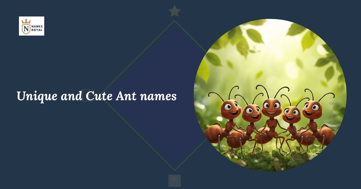 Ant names