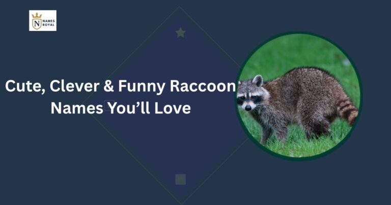 Raccoon Names