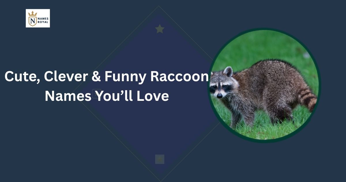 Raccoon Names