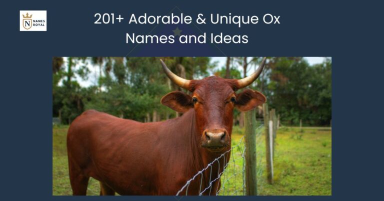Ox Names