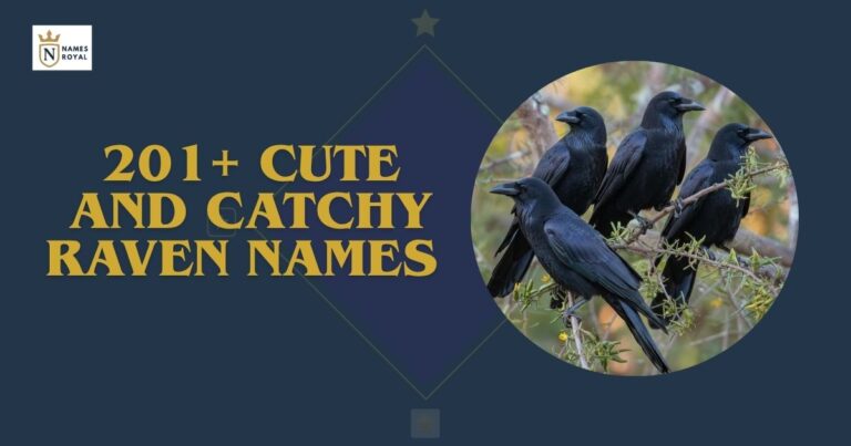 Raven Names