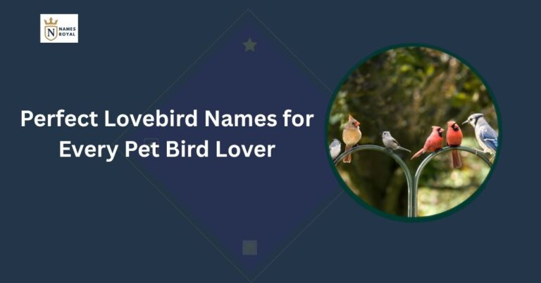 Lovebird Names