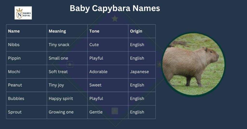 baby capybara name