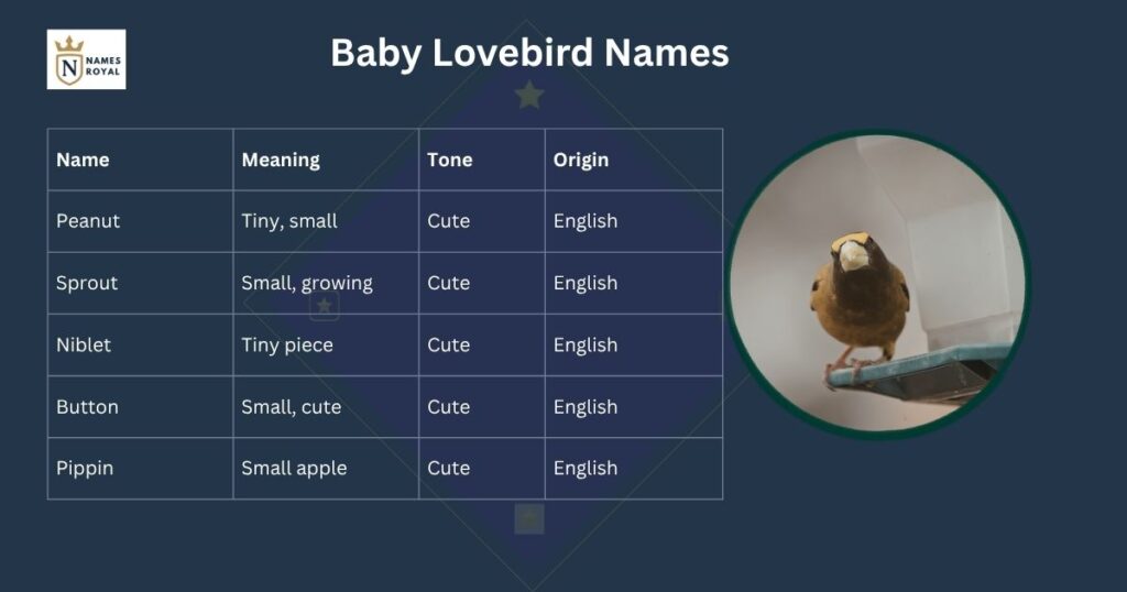 love birds nickname
