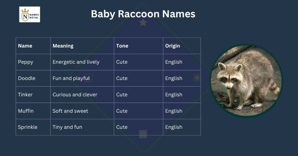 good raccoon names