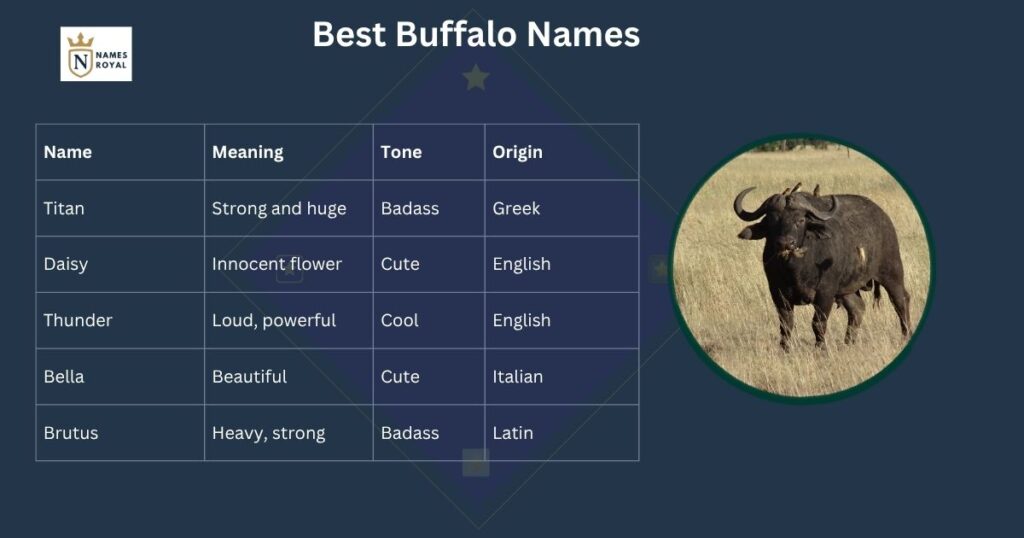 buffalo female name