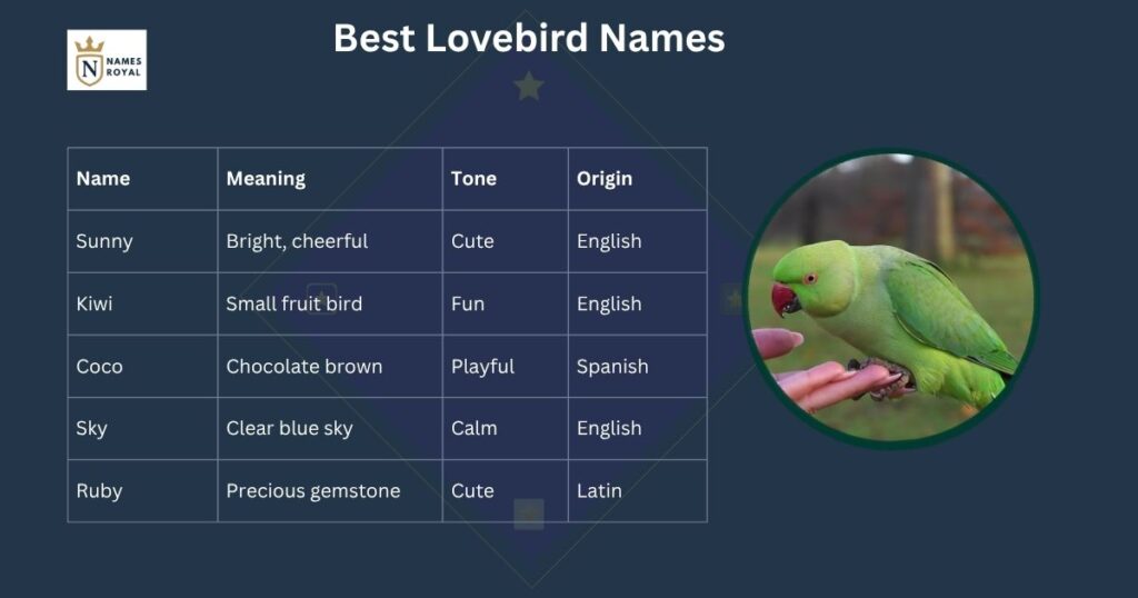 love birds cute names
