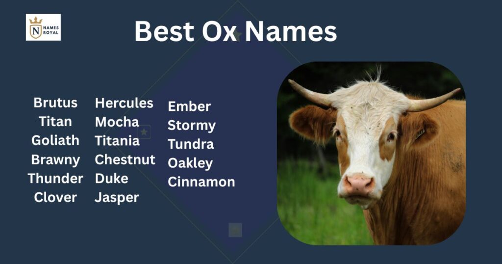 Best ox names