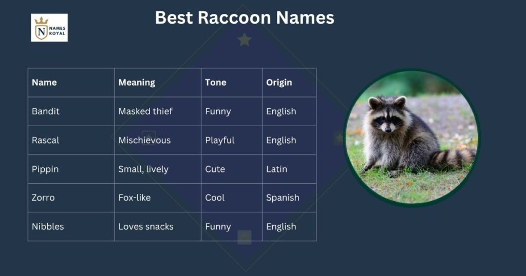 raccoon names