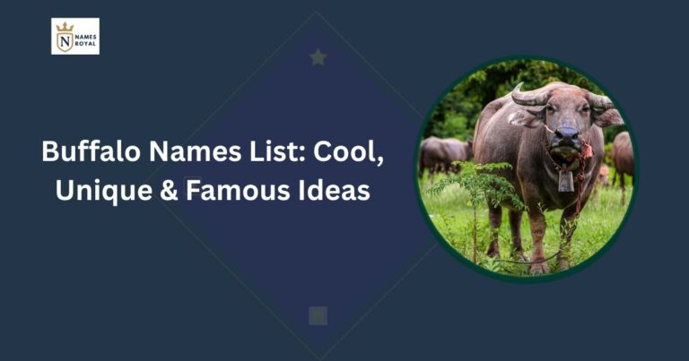 Buffalo Names