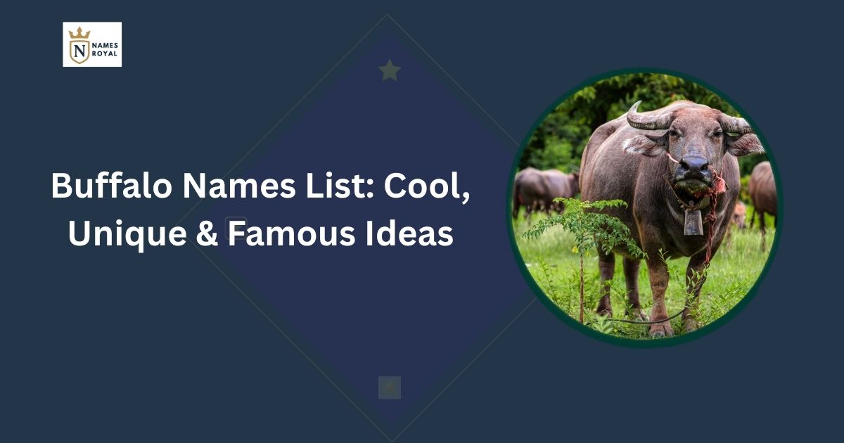 Buffalo Names