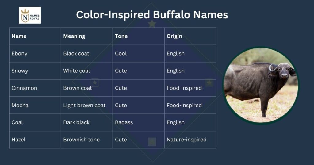 buffalo kid name