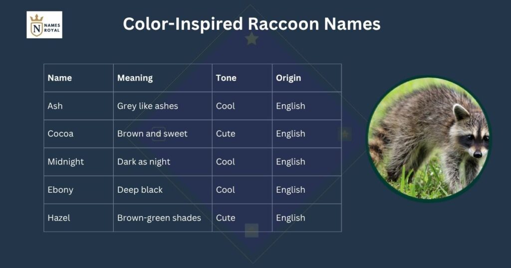 raccoon names