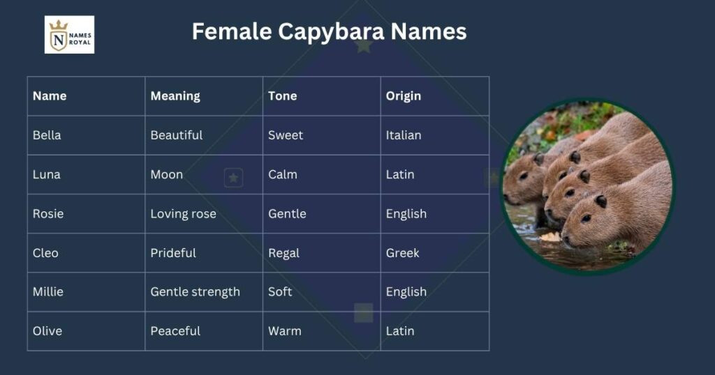cute capybara names