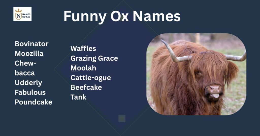 Funny ox names
